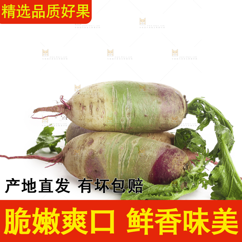 白底上的冰淇淋萝卜