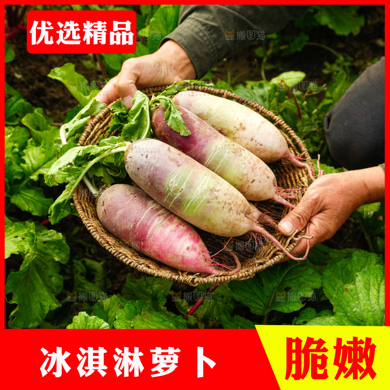 手里拿着冰淇淋萝卜