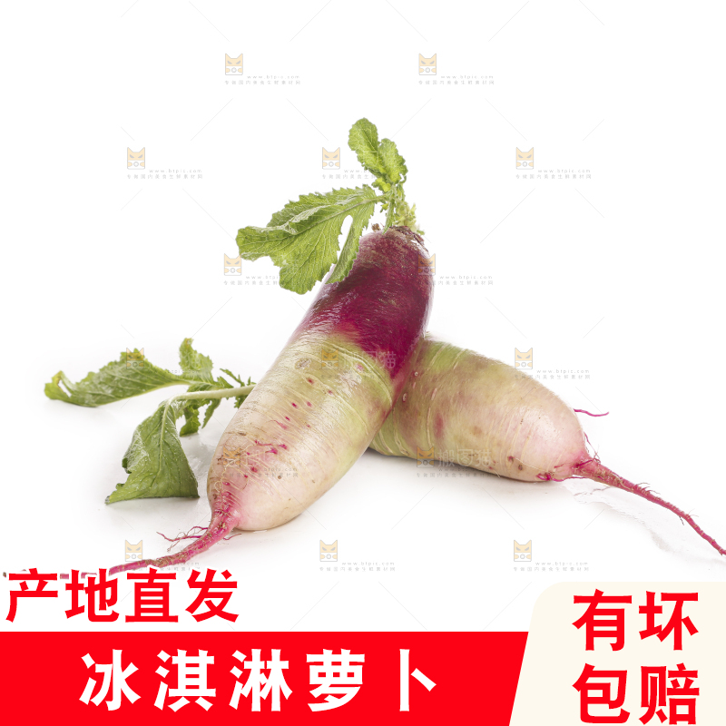 白底上的冰淇淋萝卜