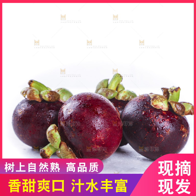 白底上的新鲜山竹