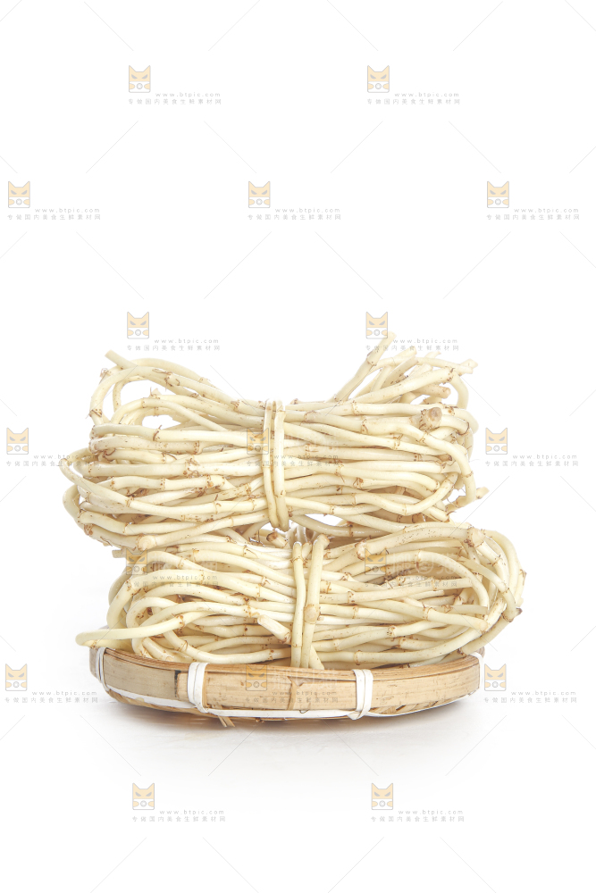 白底上的折耳根