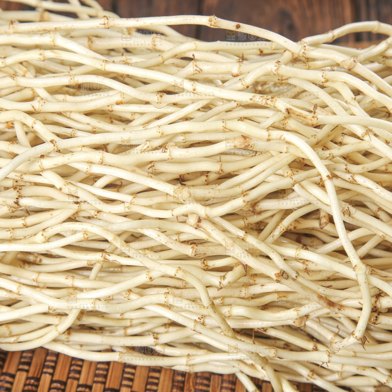木底上的折耳根