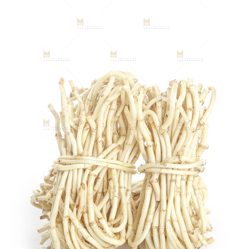 白底上的折耳根
