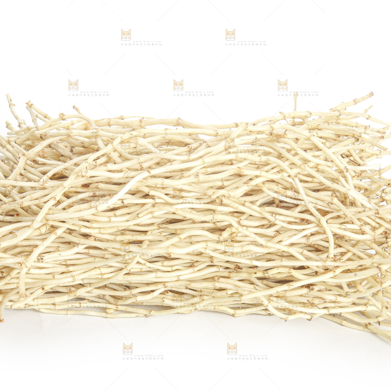 白底上的折耳根