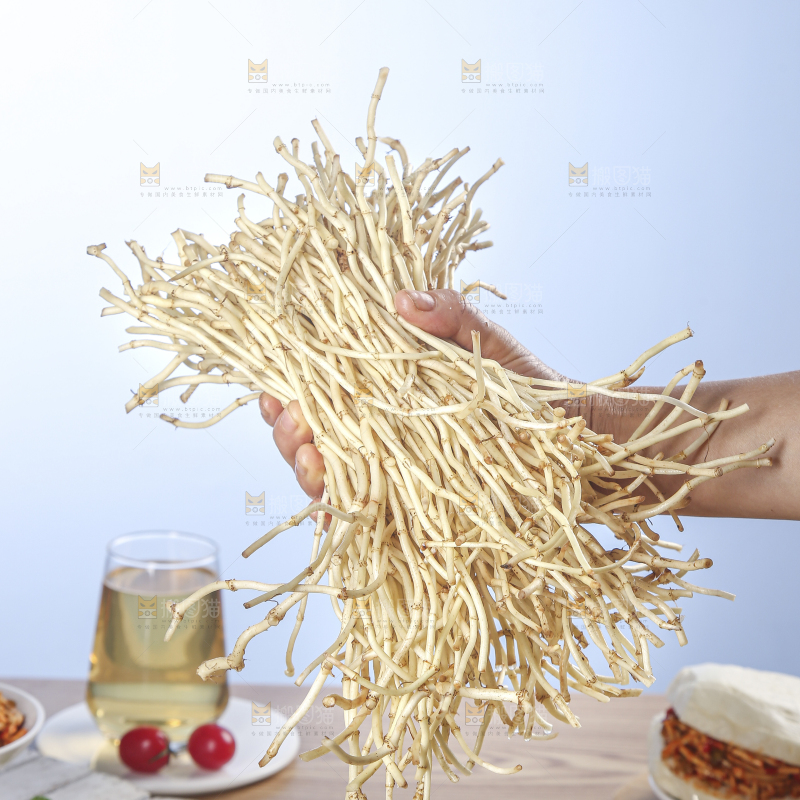 木底上的折耳根