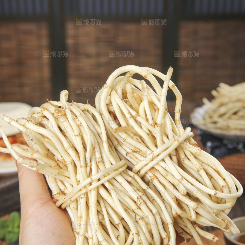木底上的折耳根