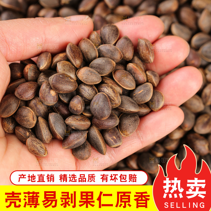 深底上的新鲜松子