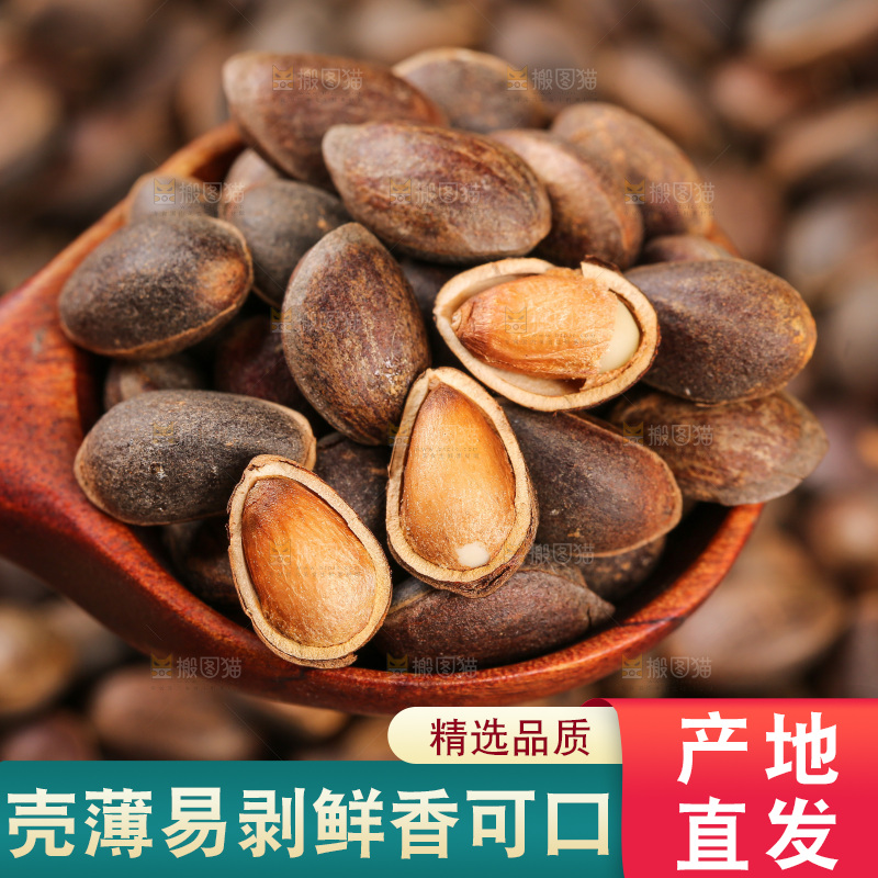 深底上的新鲜松子