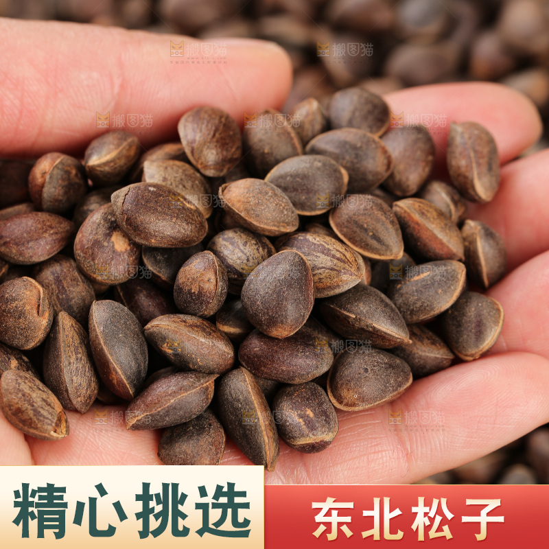 深底上的新鲜松子
