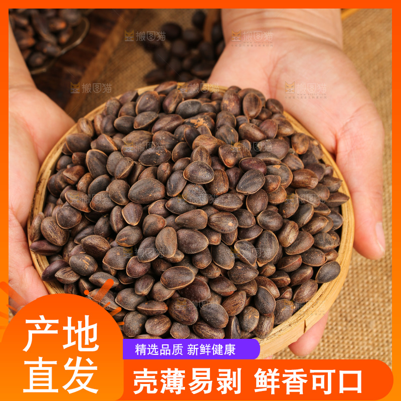 深底上的新鲜松子