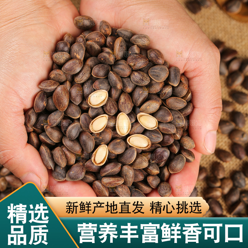 深底上的新鲜松子