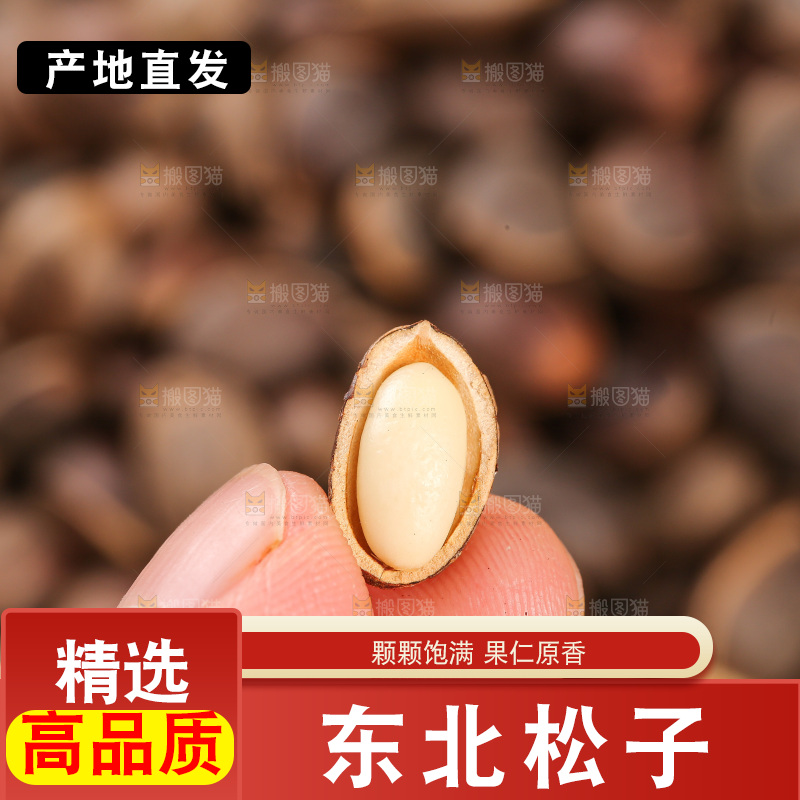 深底上的新鲜松子