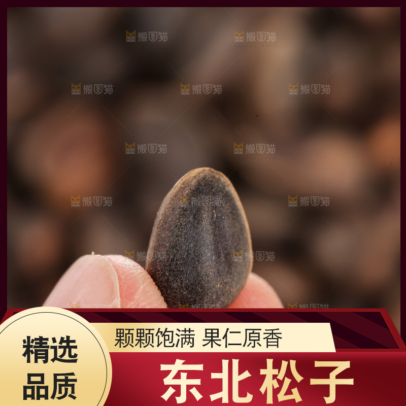 深底上的新鲜松子