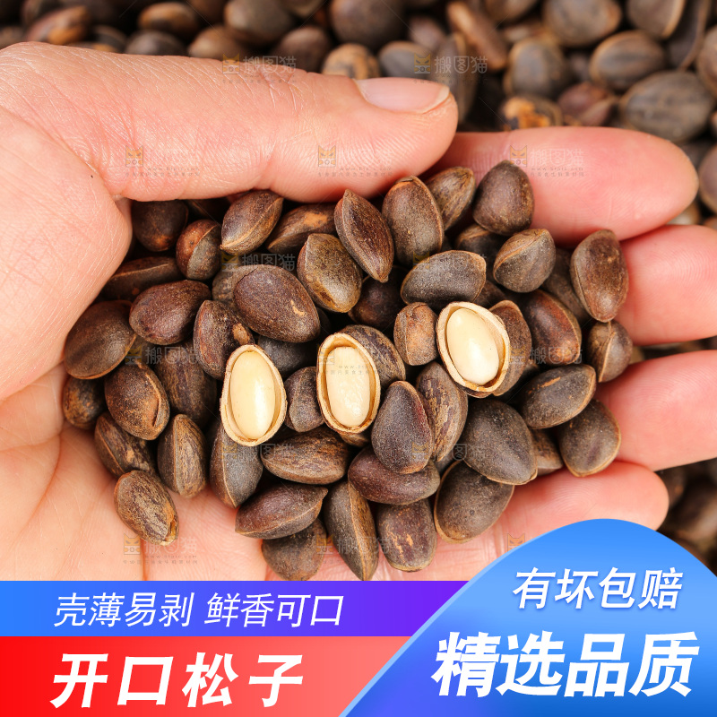 深底上的新鲜松子