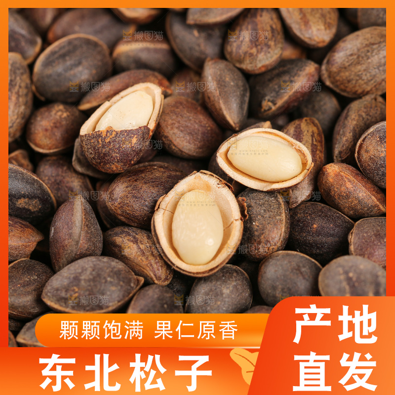 深底上的新鲜松子
