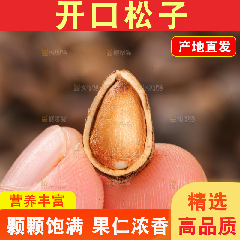 深底上的新鲜松子