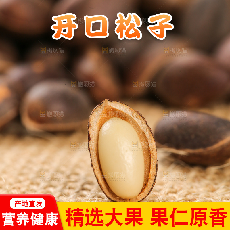 深底上的新鲜松子