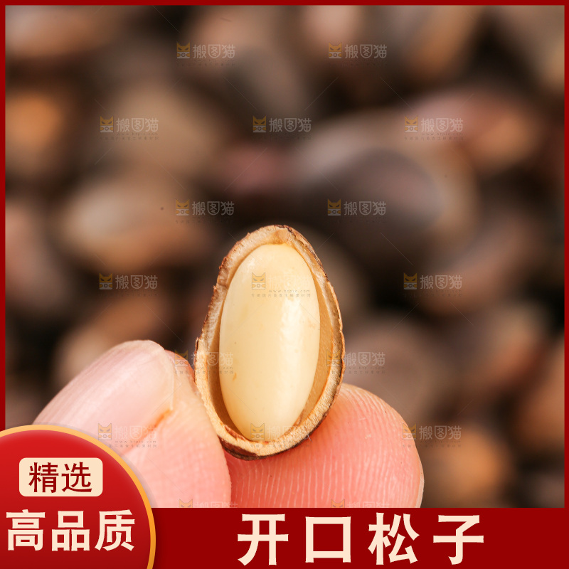 深底上的新鲜松子