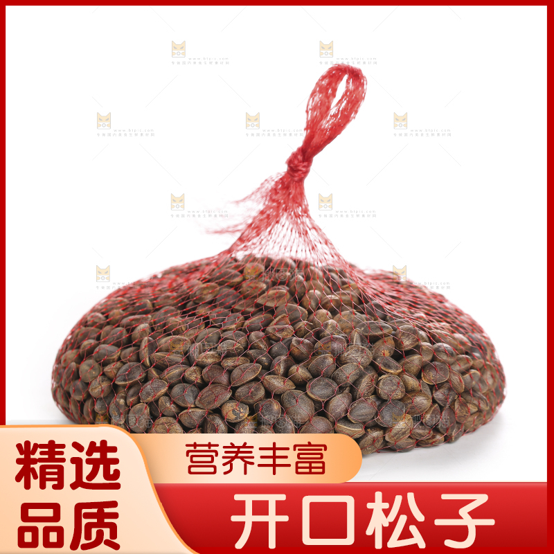 白底上的新鲜松子