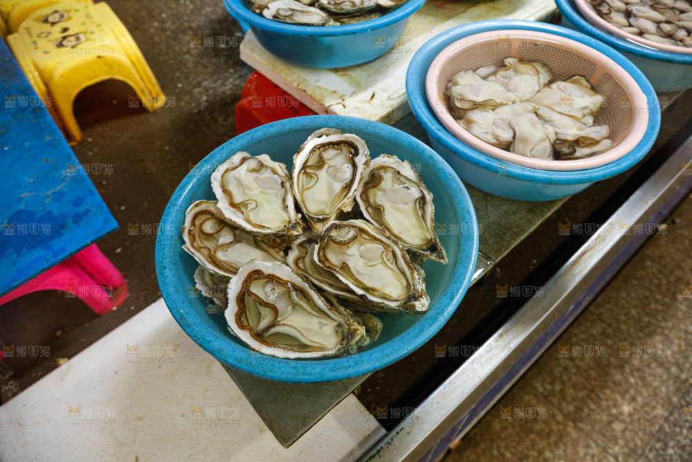 海鲜市场鲜活生蚝