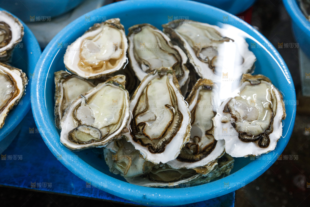 海鲜市场鲜活生蚝