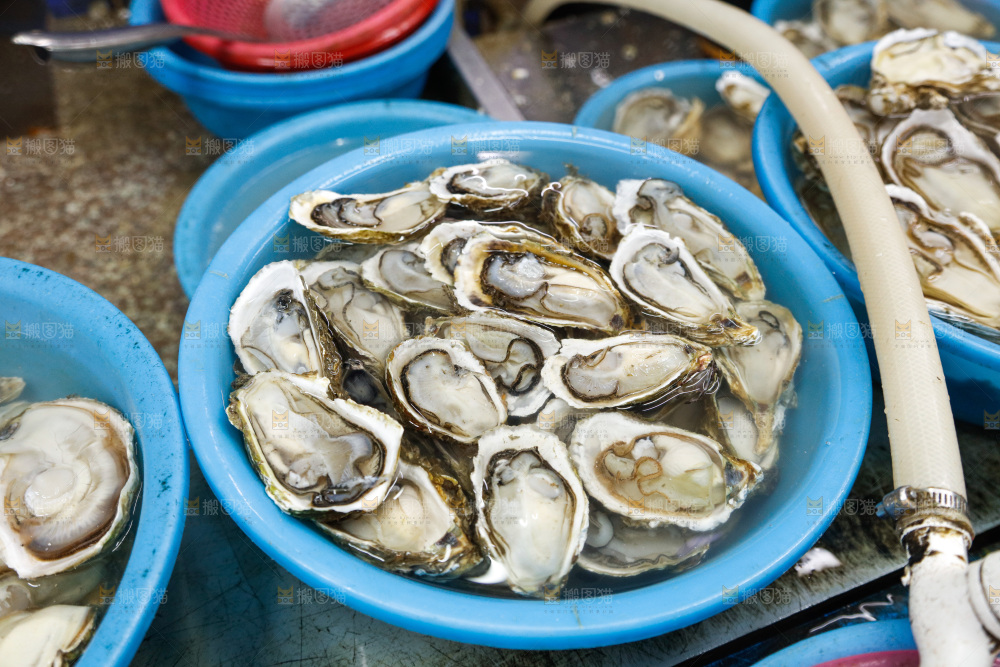 海鲜市场鲜活生蚝