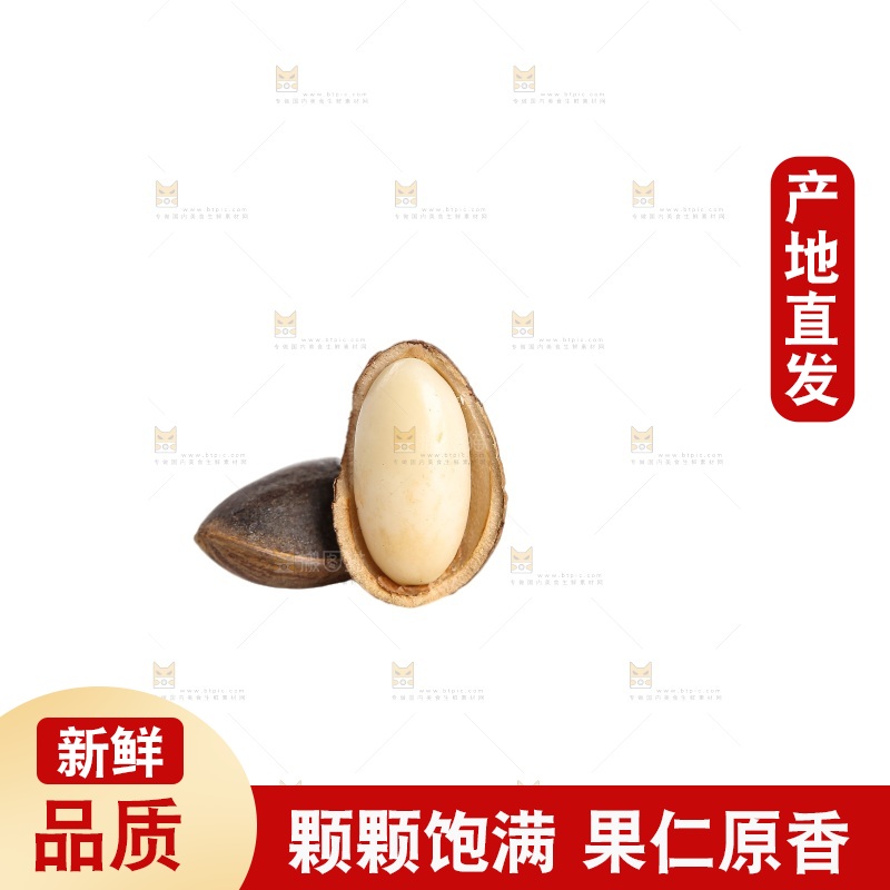 白底上的新鲜松子