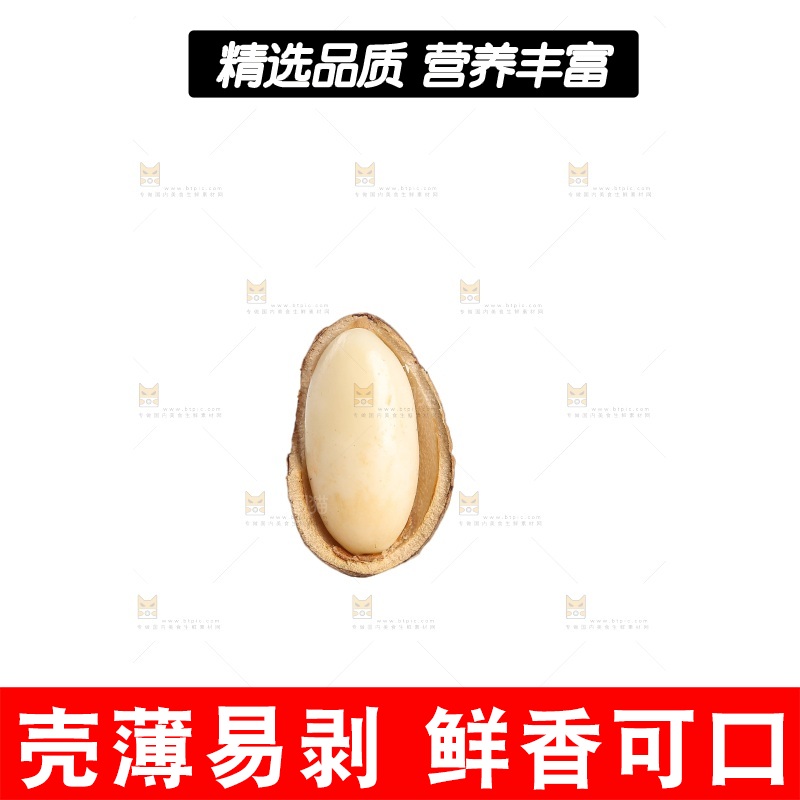 白底上的新鲜松子