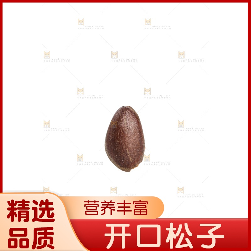 白底上的新鲜松子