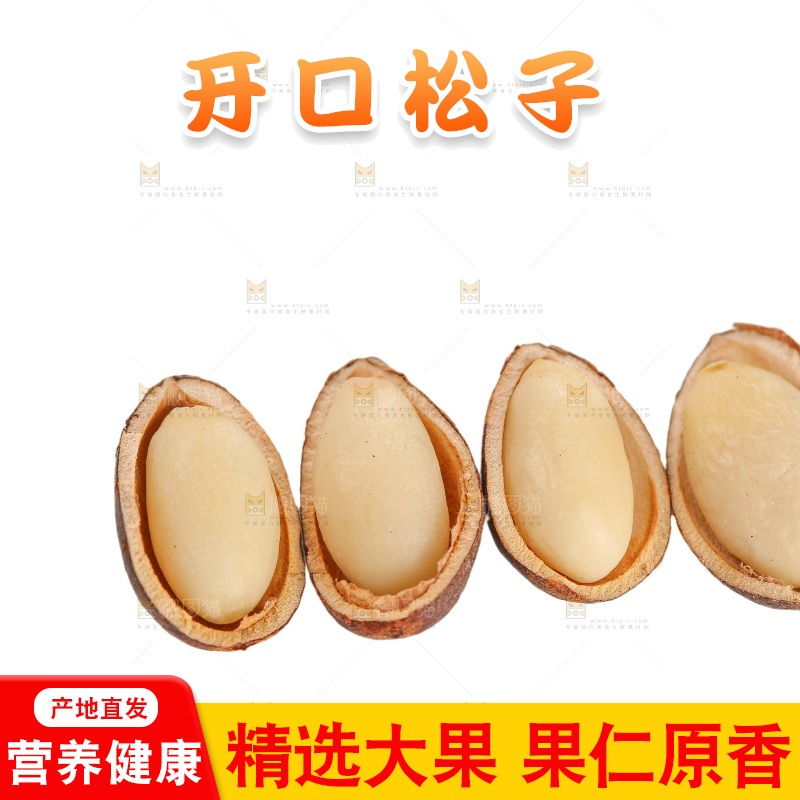 白底上的新鲜松子