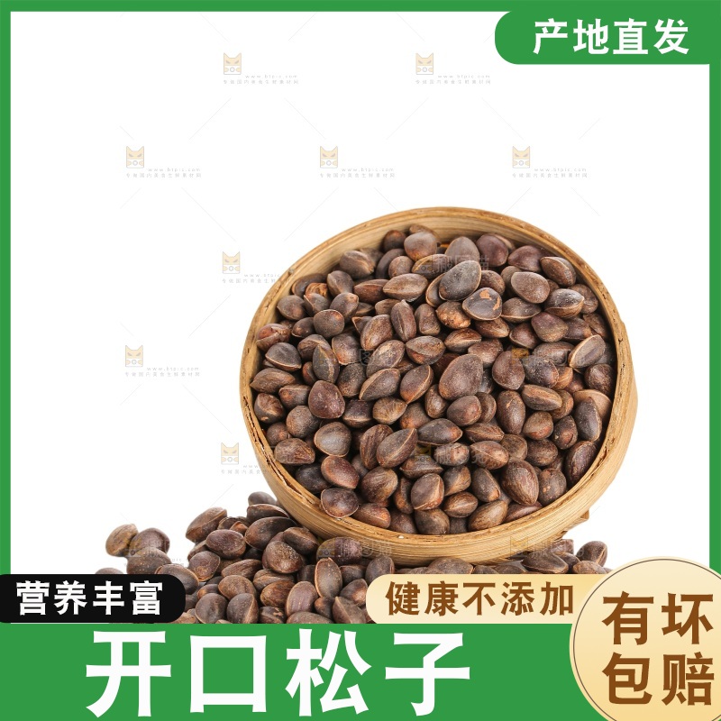 白底上的新鲜松子