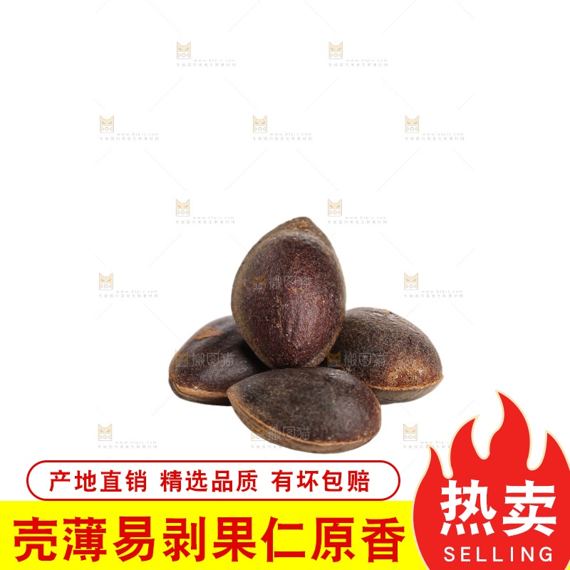 白底上的新鲜松子