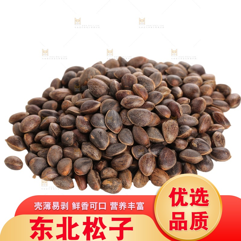 白底上的新鲜松子