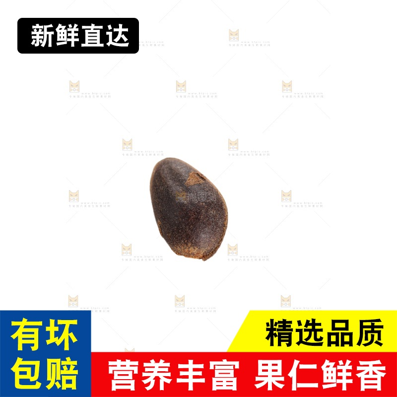 白底上的新鲜松子