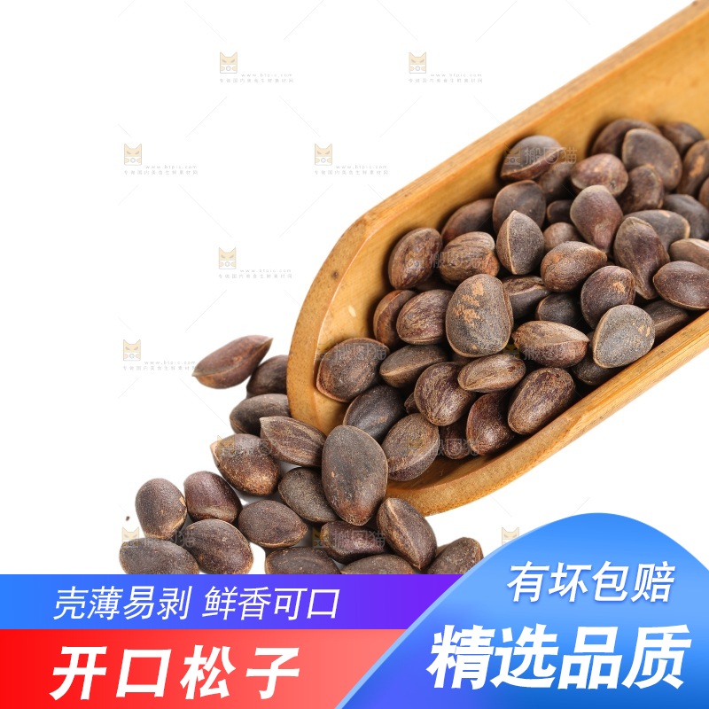白底上的新鲜松子