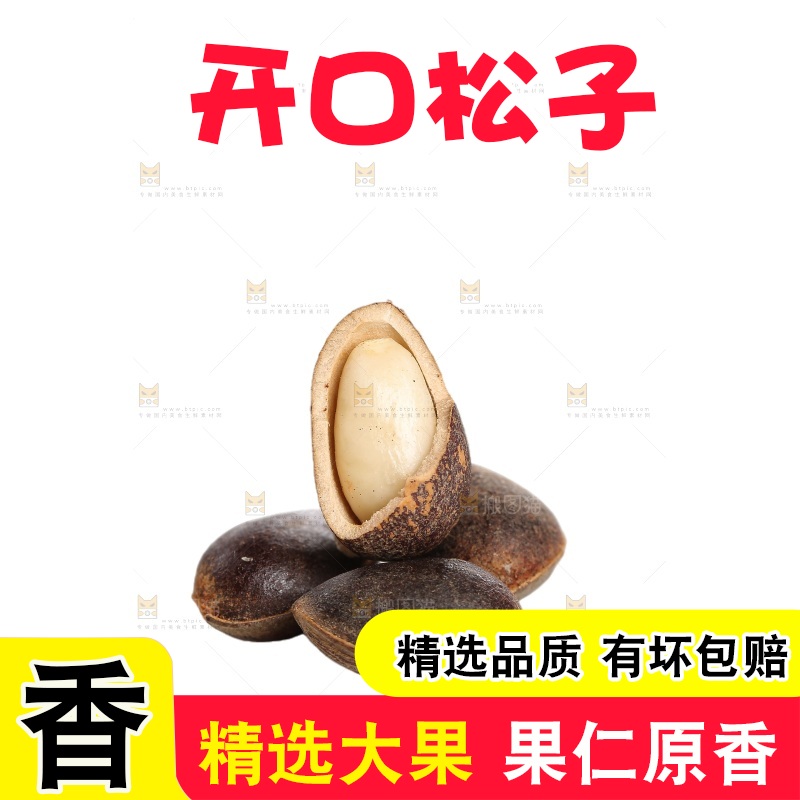 白底上的新鲜松子