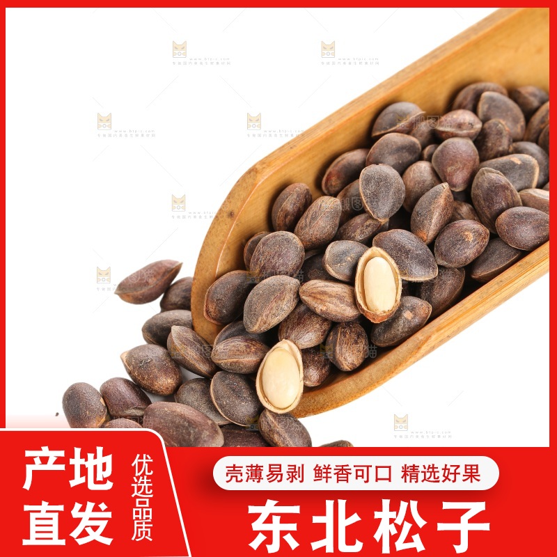 白底上的新鲜松子