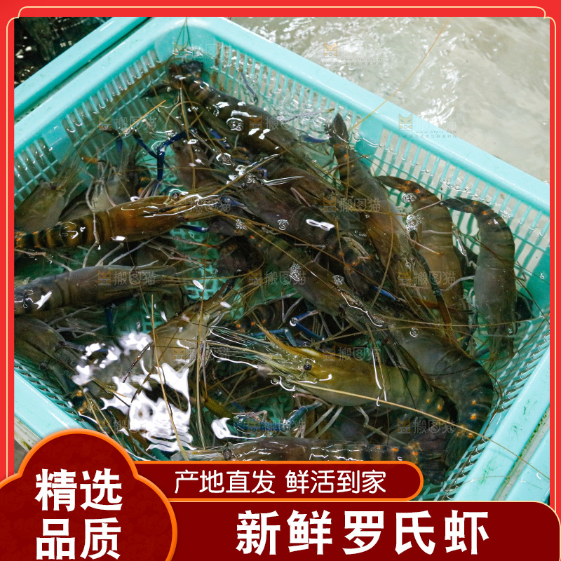 海鲜市场罗氏虾