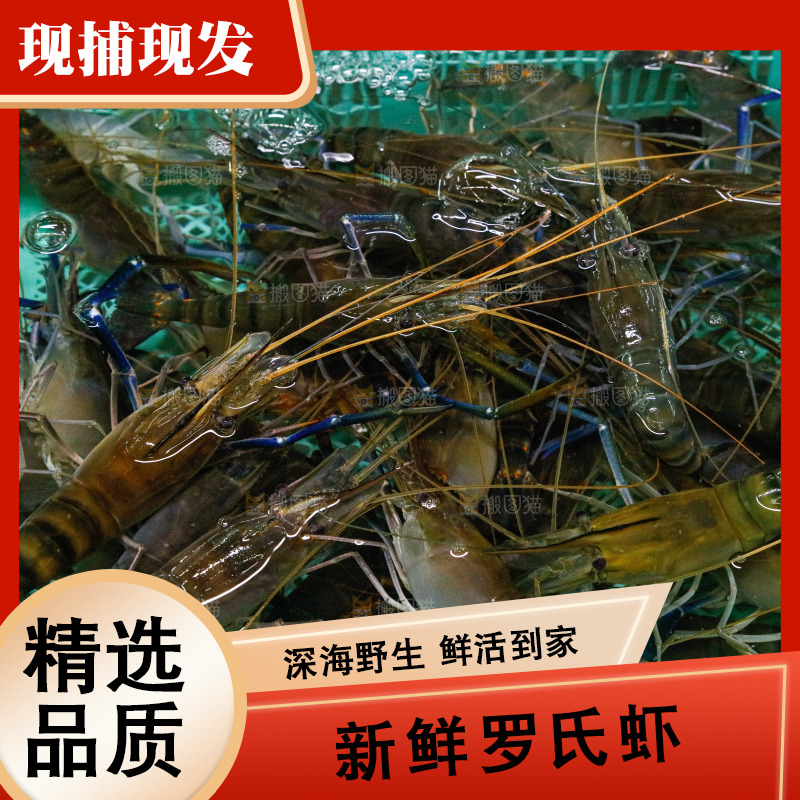海鲜市场罗氏虾