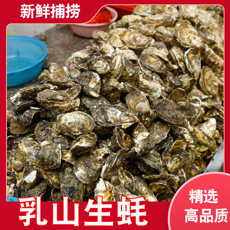 海鲜市场鲜活生蚝