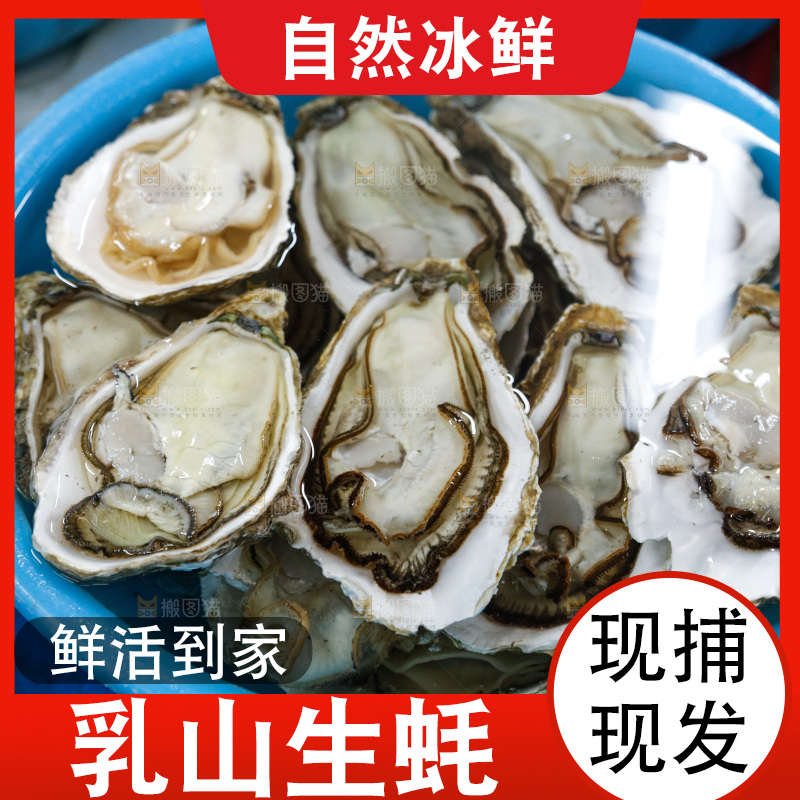 海鲜市场鲜活生蚝