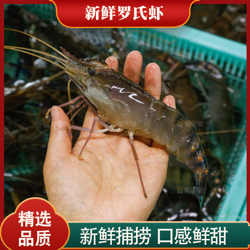 海鲜市场罗氏虾