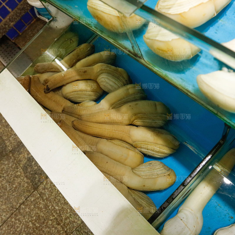 海鲜市场象牙蚌