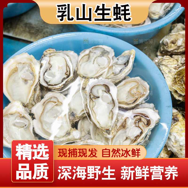 海鲜市场鲜活生蚝