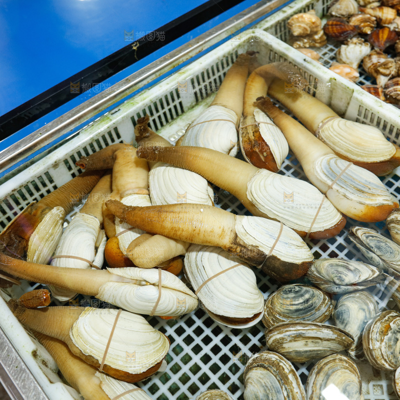 海鲜市场象牙蚌