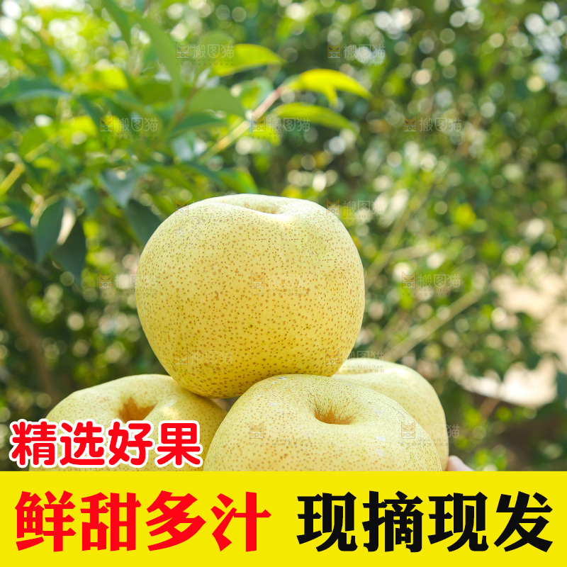 手里拿着一盒砀山梨