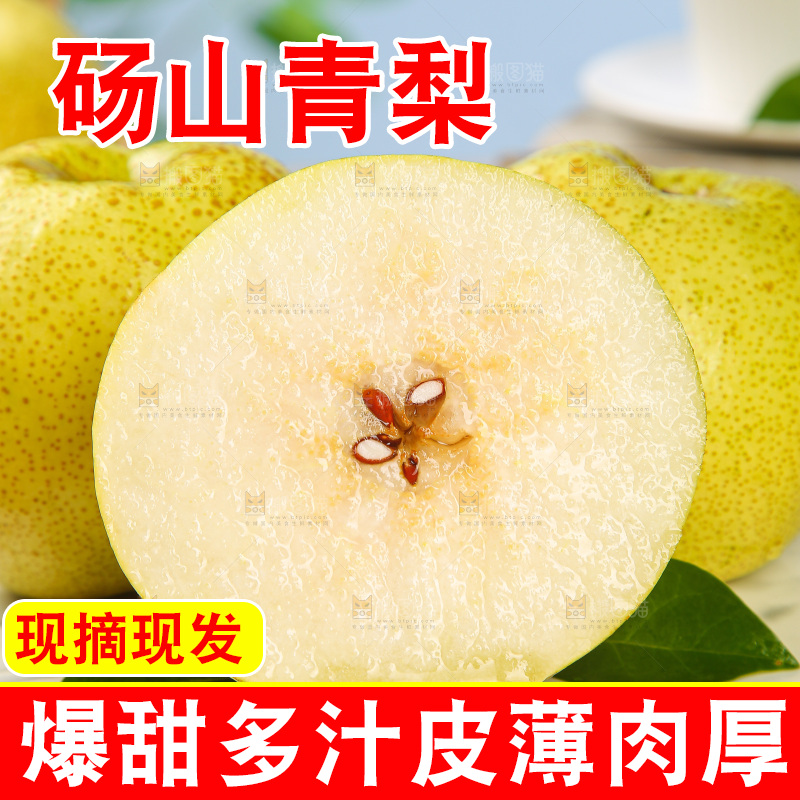 浅底上的砀山梨