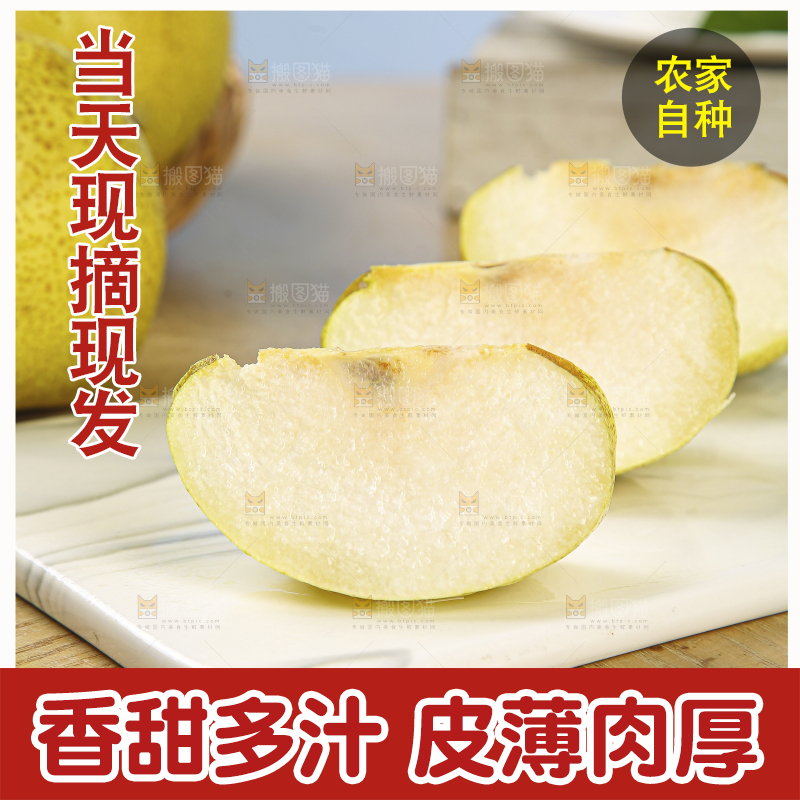 浅底上的砀山梨