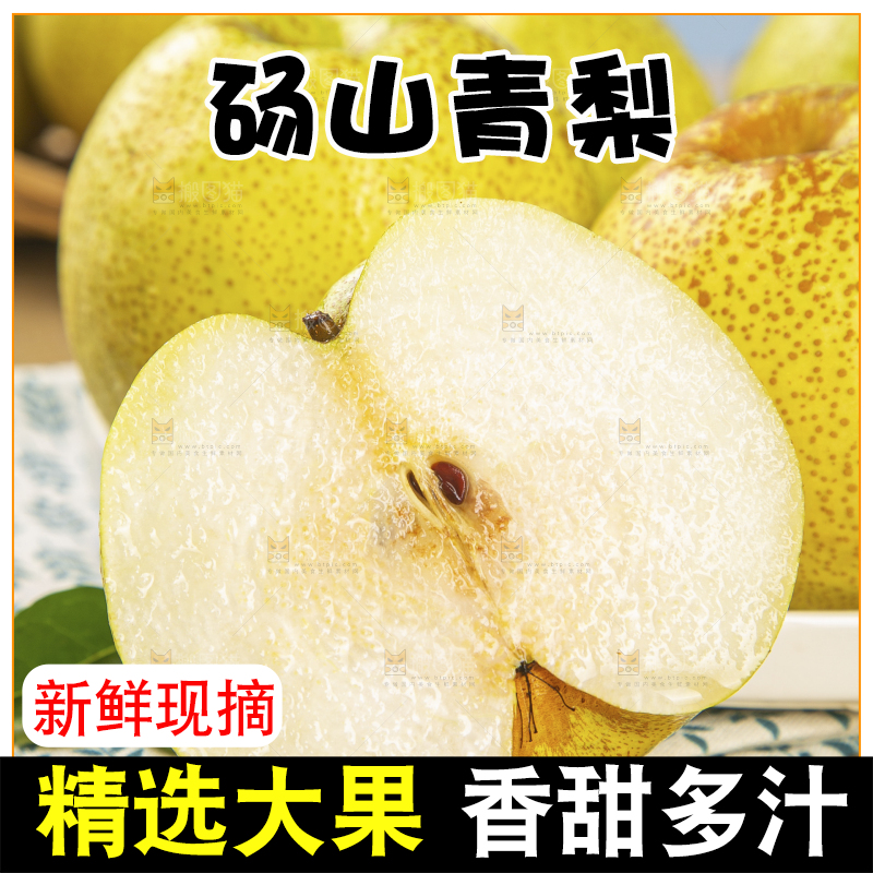 浅底上的砀山梨