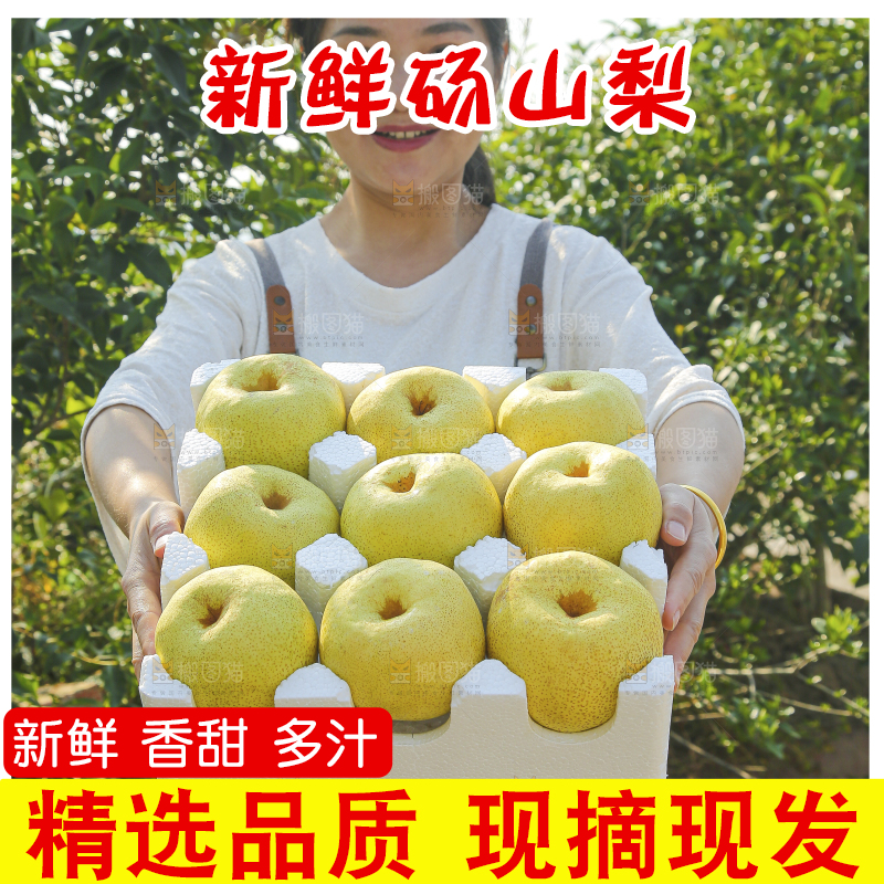 手里拿着一盒砀山梨